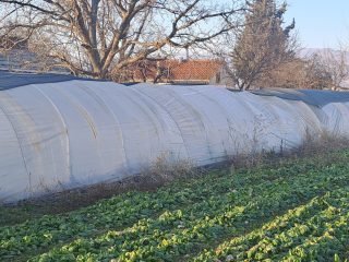 inbound267431151152338485