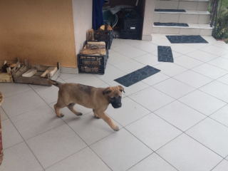 Crop-It-2023-2-5-at-17.30.56