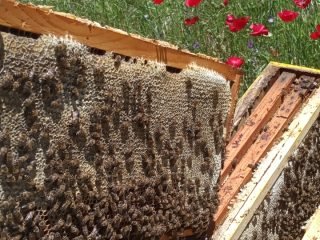 Screenshot_2022-11-22-17-48-30-893