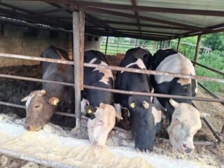 441476687_3858118167846606_7217660895340227887_n