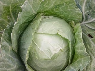 inbound7673276285612157594