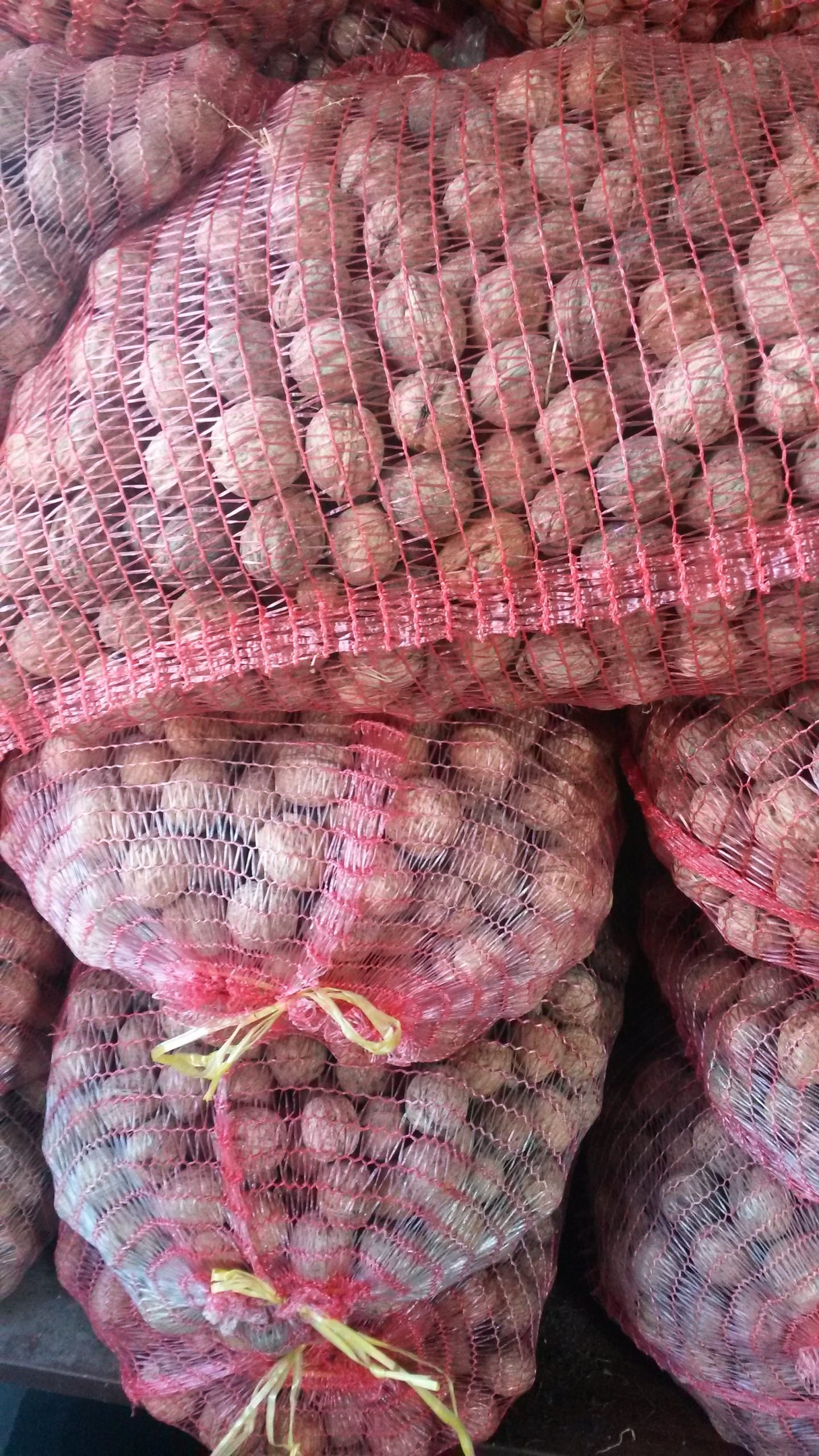 Ореви лешници