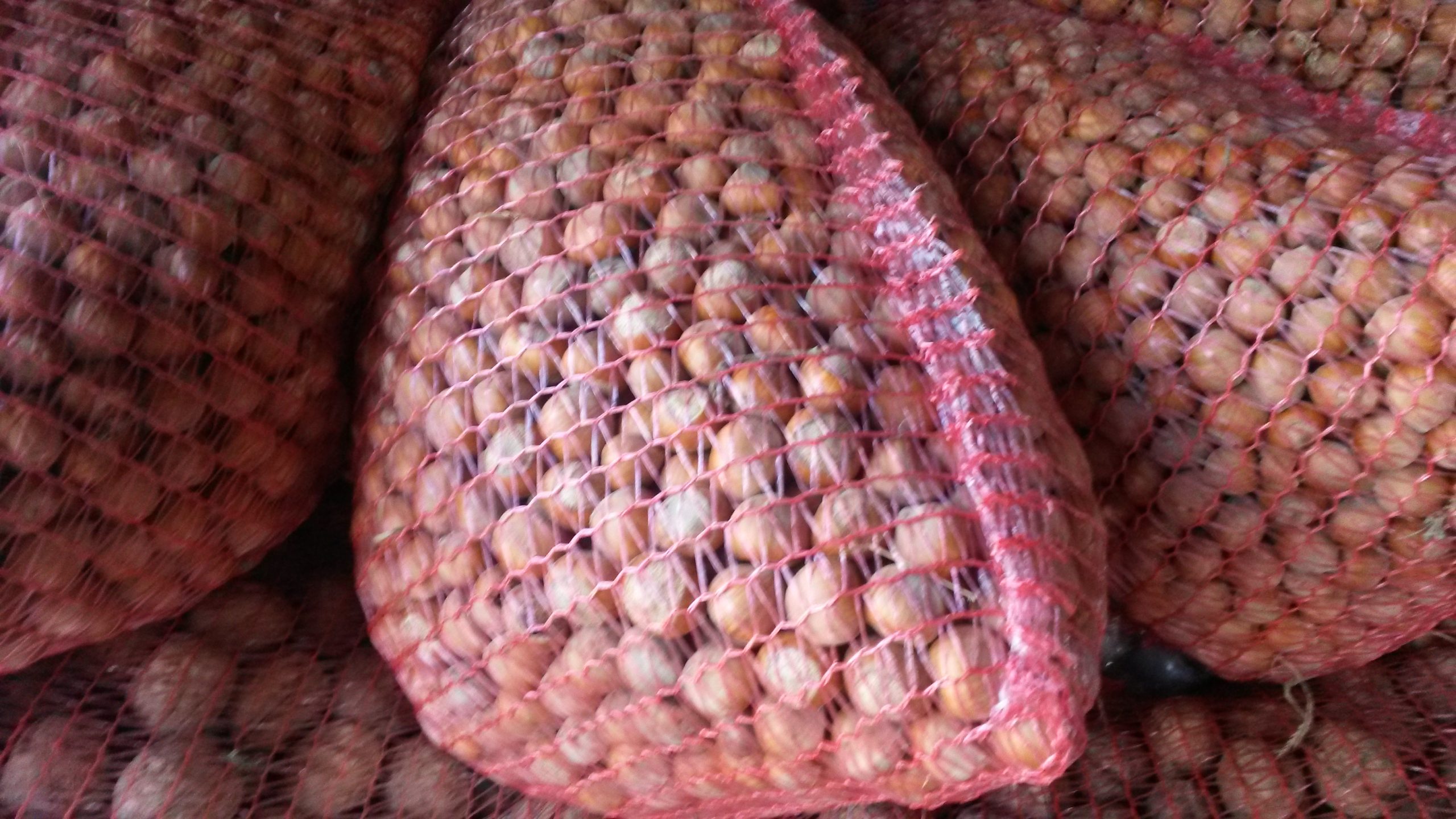 Ореви лешници