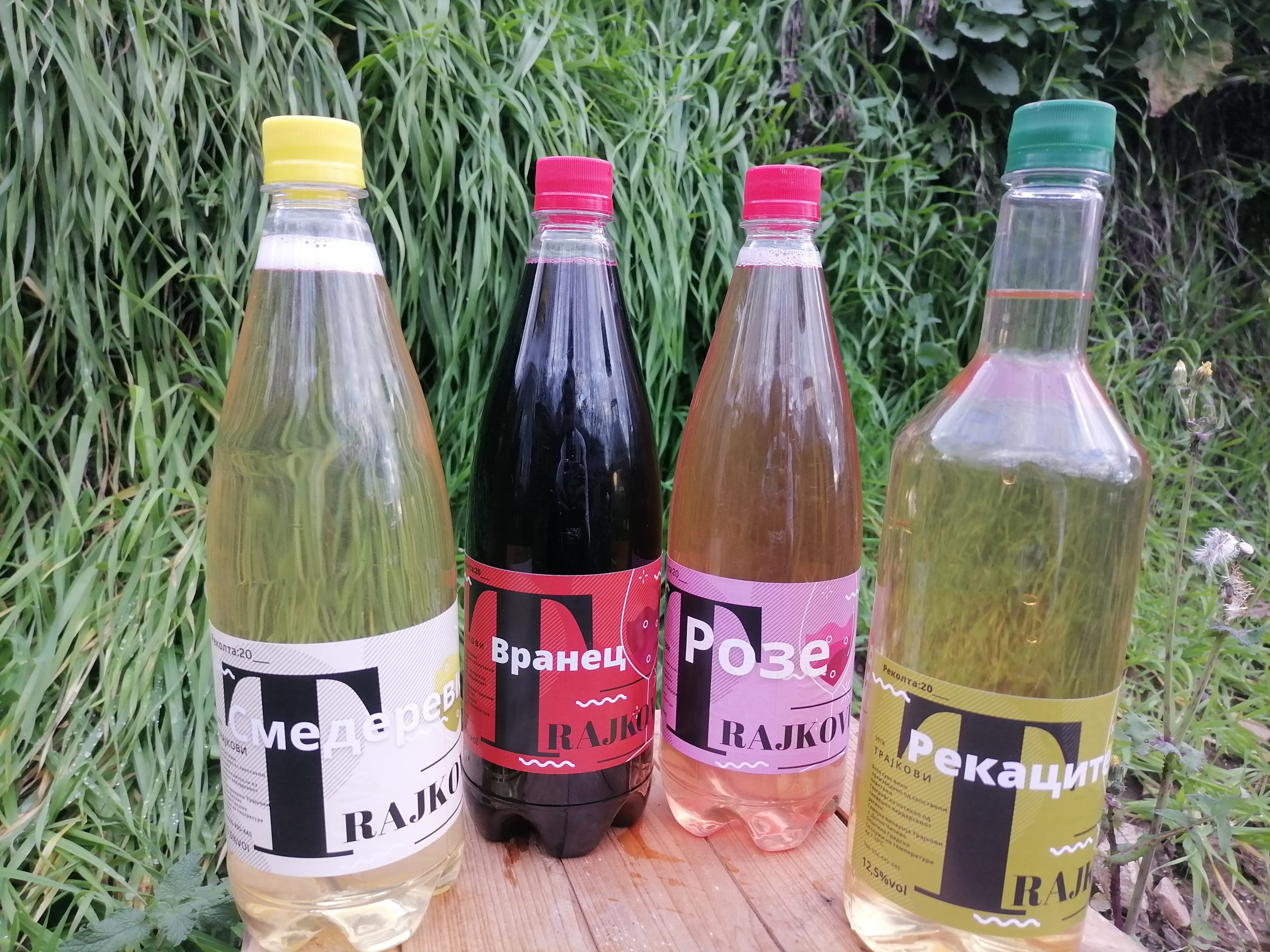 Domasno vino rekolta 2022