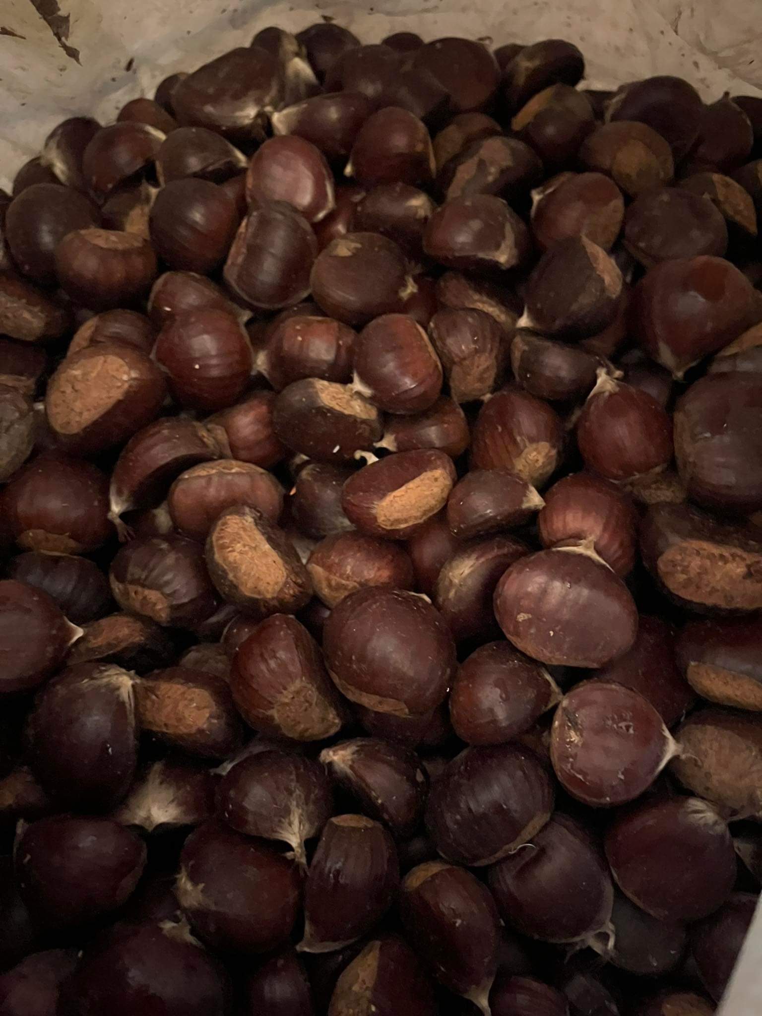 Kosten demir hisarski