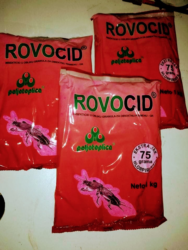 Se prodava SRPSKI GALITION I ROVOCID