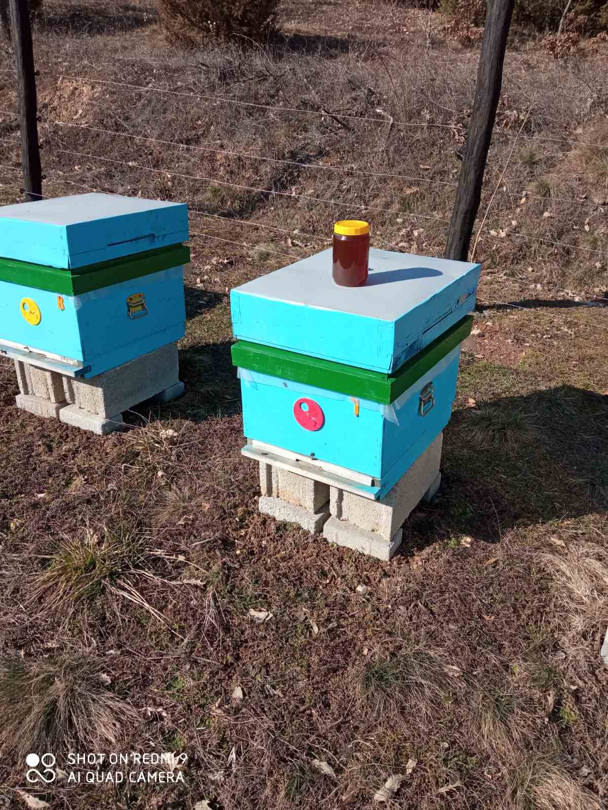 Prodavam 100% priroden med