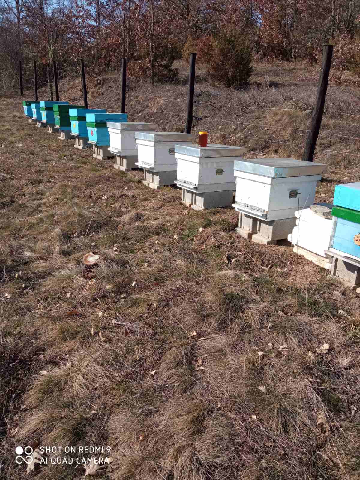 Prodavam 100% priroden med