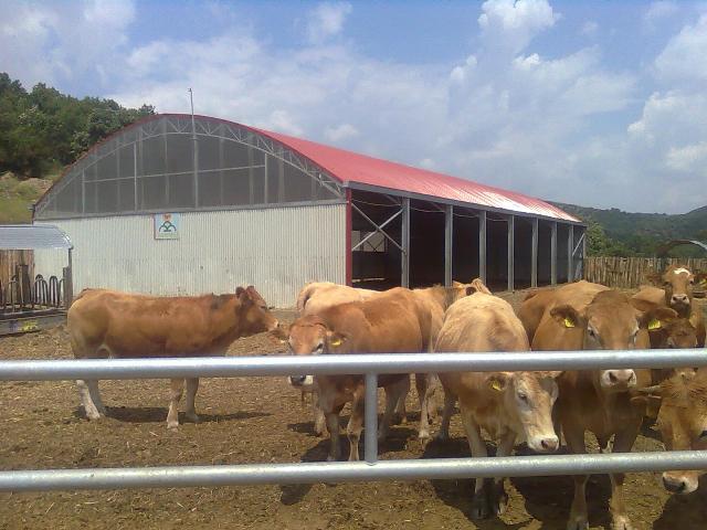 Montazni farmi i oprema