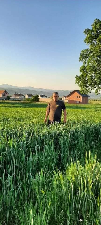 FOLIJARNO GJUBRIVO ZA ZITO