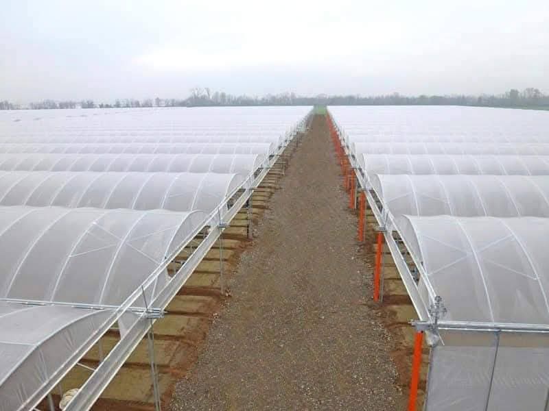 Izgradba na Visoki solarni Plastenici Oranzerii