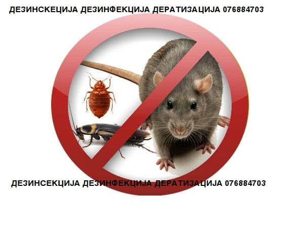 DEZINSEKCIJA DEZINFEKCIJA DERATIZACIJA MAKEDONIJA 076884703