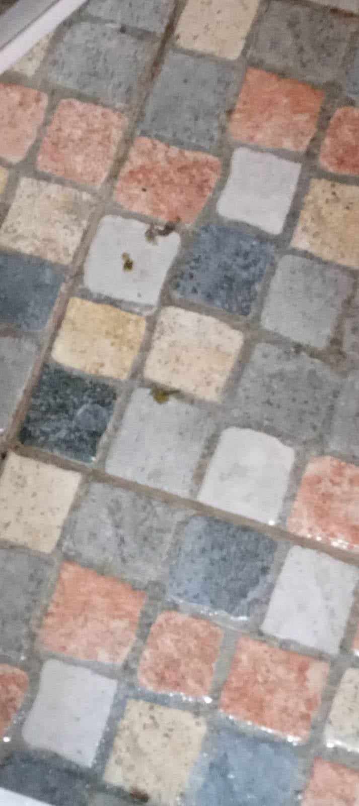 DEZINSEKCIJA DEZINFEKCIJA DERATIZACIJA BUBATER 076884703