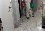 DEZINSEKCIJA DEZINFEKCIJA DERATIZACIJA BUBATER 076884703
