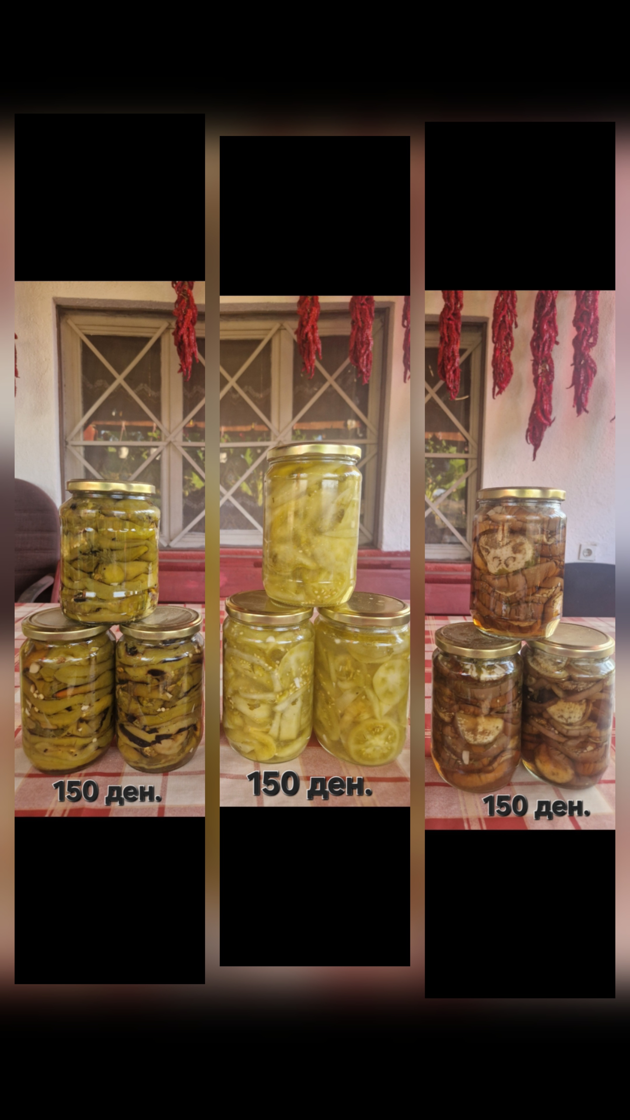 ДОМАШНА ЗИМНИЦА